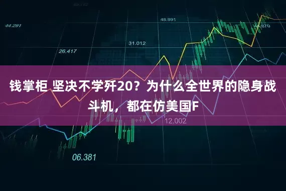 钱掌柜 坚决不学歼20？为什么全世界的隐身战斗机，都在仿美国F
